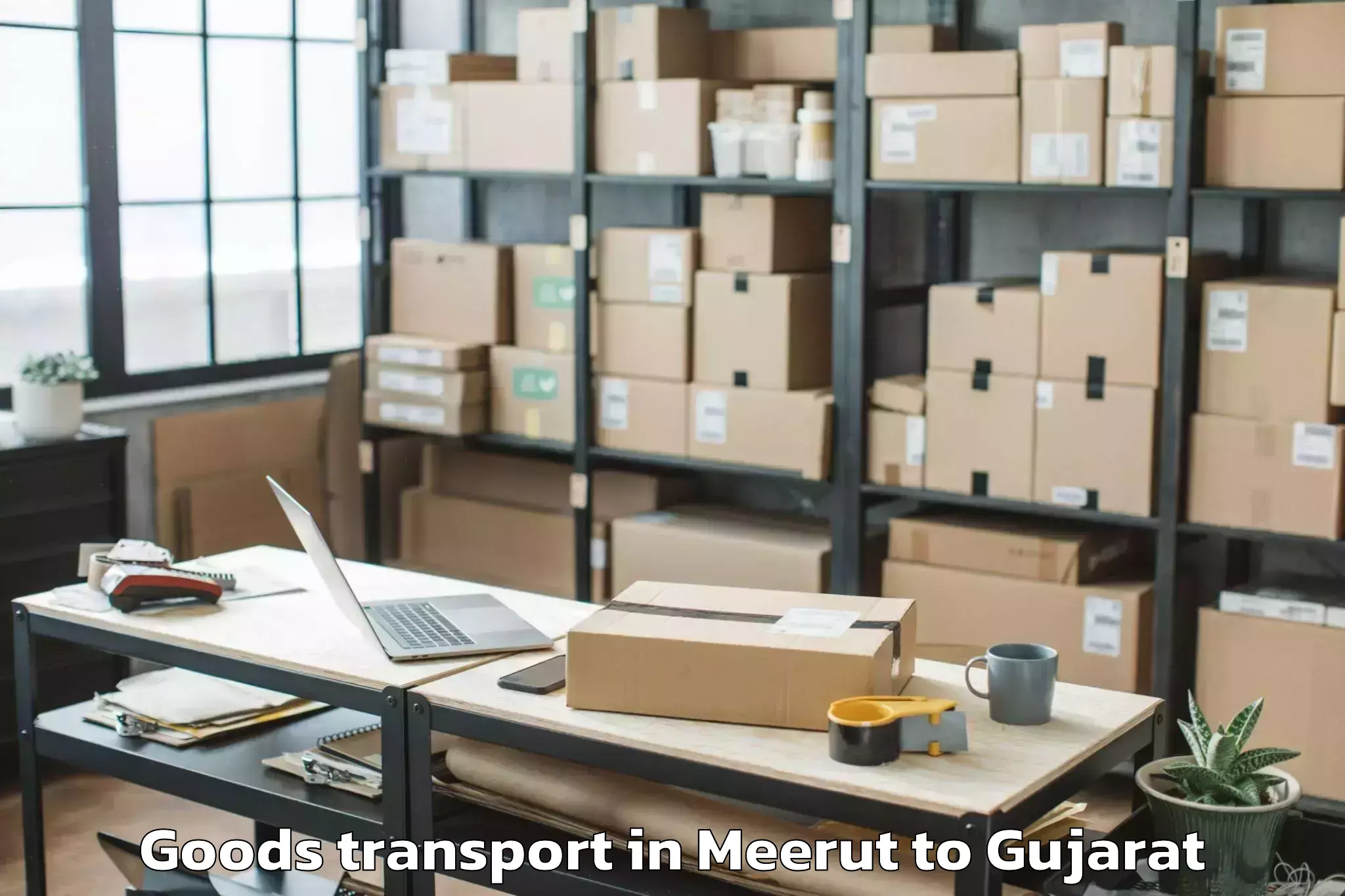 Professional Meerut to Baria Goods Transport